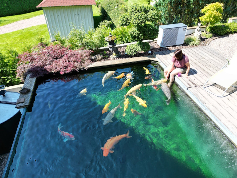 DAS KOIFUTTER günstig im online shop kaufen, koifutter für wachstum und klares wasser zum fairen preis