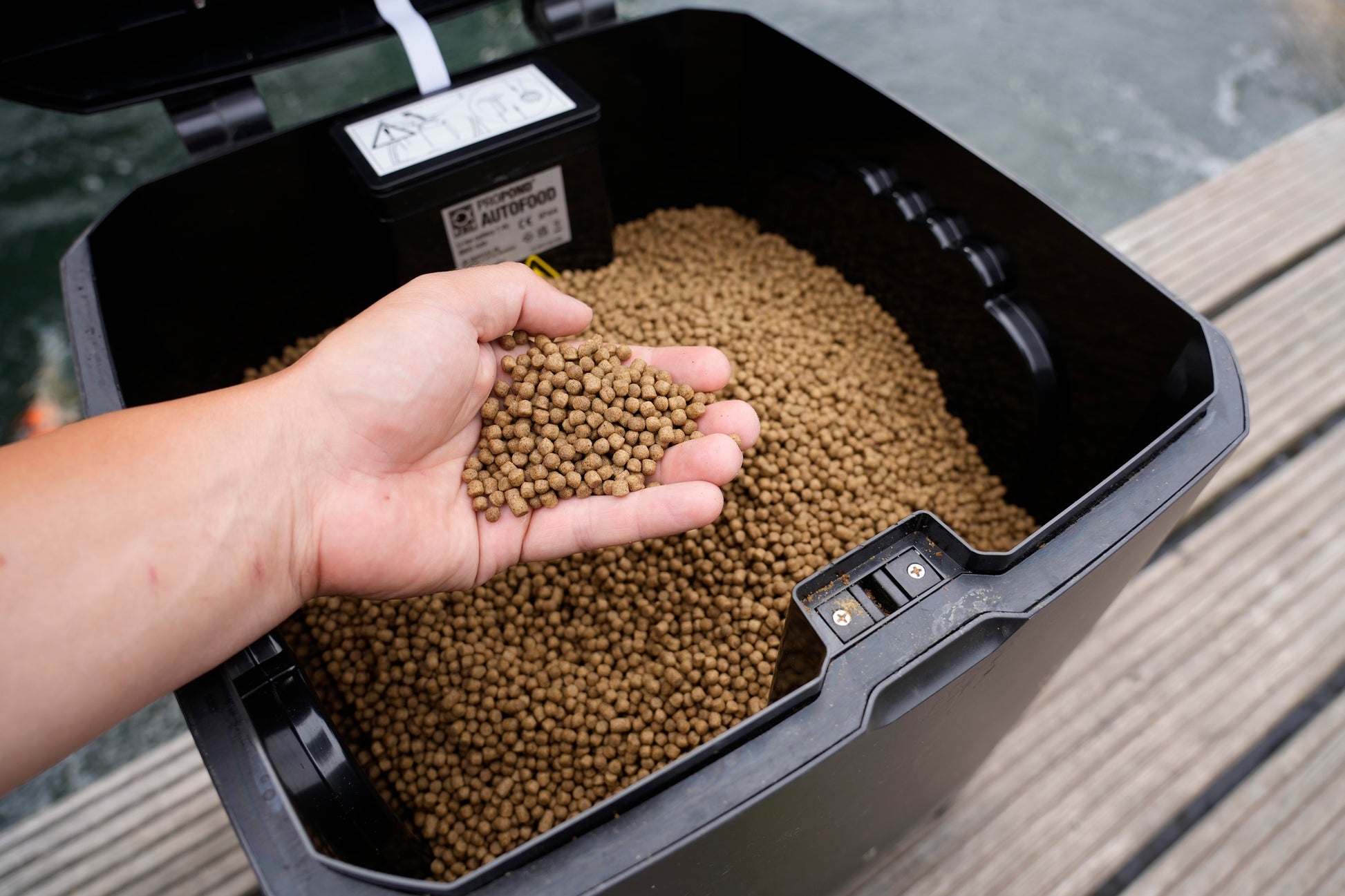 Koifutter, koi futter, koifutter kaufen, koi ganzjahresfutter, koi winterfutter, koi wachstumsfutter, koi mikronährstoffe, koifutter für wachstum, koifutter günstig, koifutter fischmehl, koifutter jumbo koi, koifutter tosai, koifutter nisai, koifutter online kaufen, koifutter youtube, koi futter bestellen, koifutter preiswert, koifutter discount, koifutter rabatt, koifutter schwimmend, koi handfütterung, koi snacks, koi taler, koifutter riesentaler, koi leckerlies, das koifutter gold edition