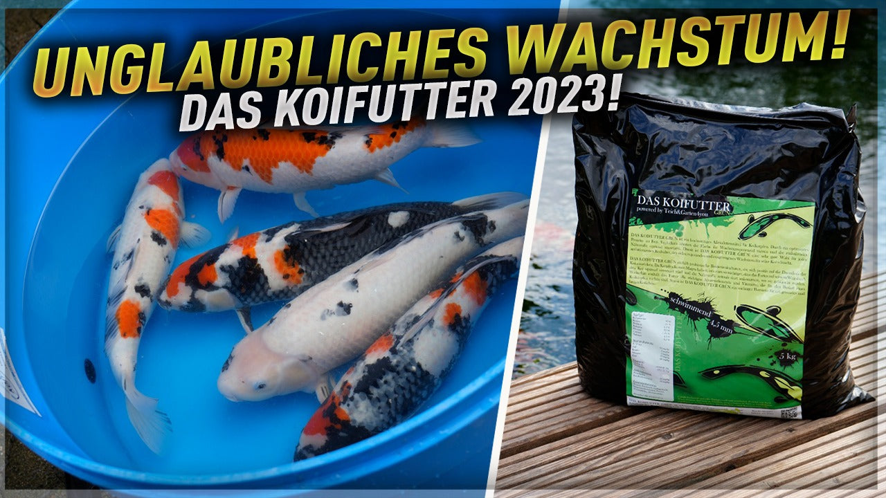 Dokumentierte Erfahrungen mit DAS KOIFUTTER
